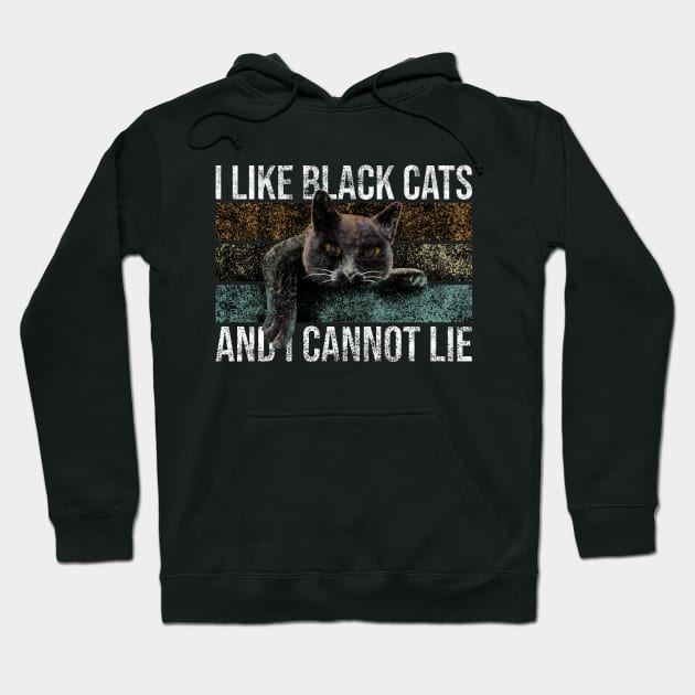 I Like Black Cats And I Cannot Lie Hoodie by Rishirt